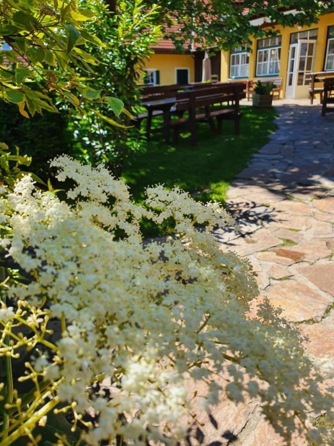 Landhof Steinbaeck Otel Sankt Stefan ob Stainz Dış mekan fotoğraf
