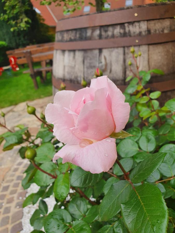 Landhof Steinbaeck Otel Sankt Stefan ob Stainz Dış mekan fotoğraf