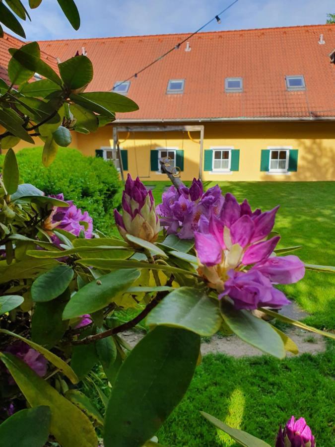 Landhof Steinbaeck Otel Sankt Stefan ob Stainz Dış mekan fotoğraf